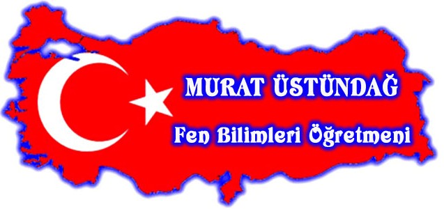 Asit Volkan