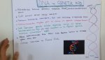 DNA VE GENETK KOD 1