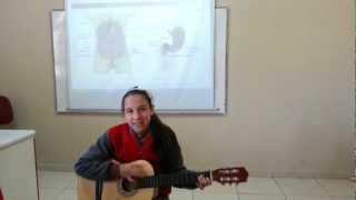 Sindirim Sistemi arks