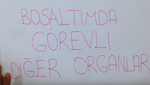BOALTIM SSTEM 3