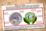 1.NTE HCRE BLNMES VE KALITIM