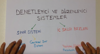 7. SINIF DENETLEYC- DZENLEYC SSTEMLER 1