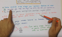 8. SINIF KALITIM - GENETK