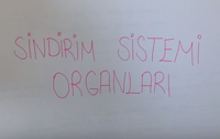 5.SINIF BESNLERN SNDRM 2