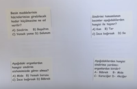 5.SINIF BESNLERN SNDRM 3