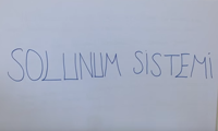 6. SINIF SOLUNUM SSTEM 1