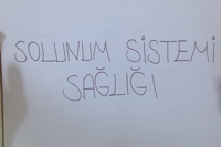 6. SINIF SOLUNUM SSTEM 4