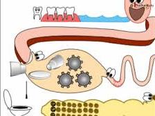 5.SINIF KAZANIM TEST 2 (SNDRM VE BOALTIM SSTEM)
