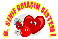 6.SINIF DOLAIM SSTEM 3