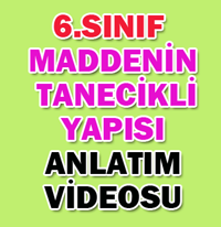 6.SINIF MADDENN TANECKL YAPISI 2