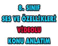 8.SINIF SES VE ZELLKLER 1