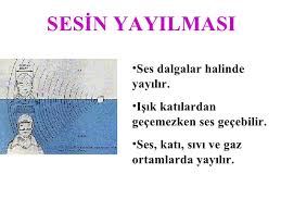 SESN YAYILMASI 1