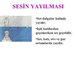 SESN YAYILMASI 1