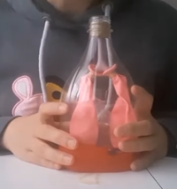 Soluk Alp Verme Mekanizmas