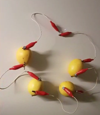 Limon Pili Deneyi