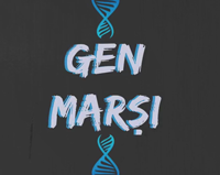 Gen Mar - DNA ve Genetik Kod