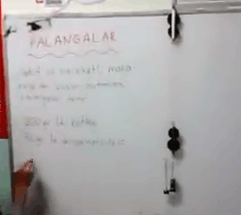 Palangalar ve zellikleri